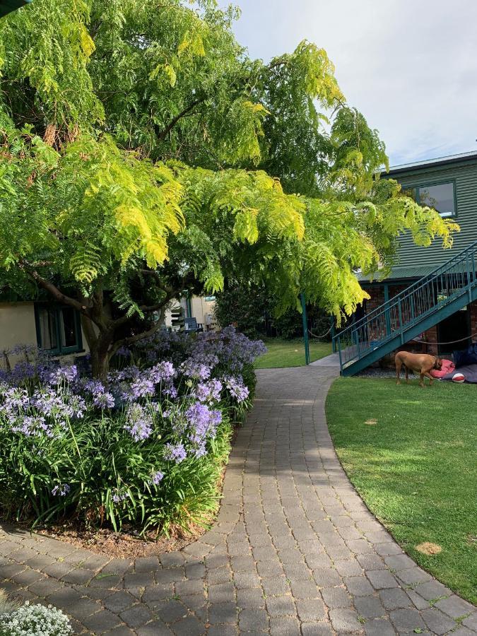 The Old Countryhouse Christchurch Exterior photo