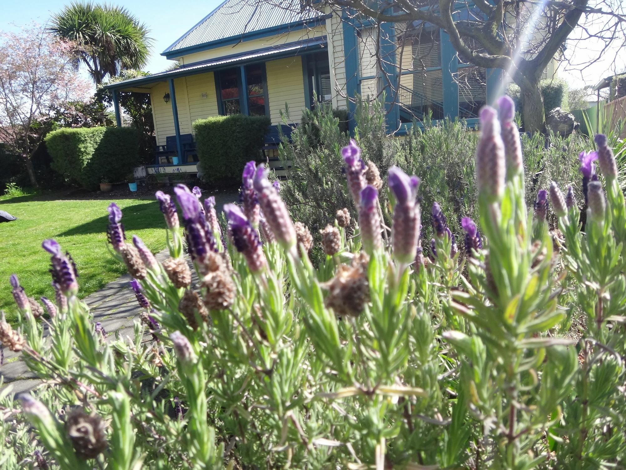 The Old Countryhouse Christchurch Exterior photo